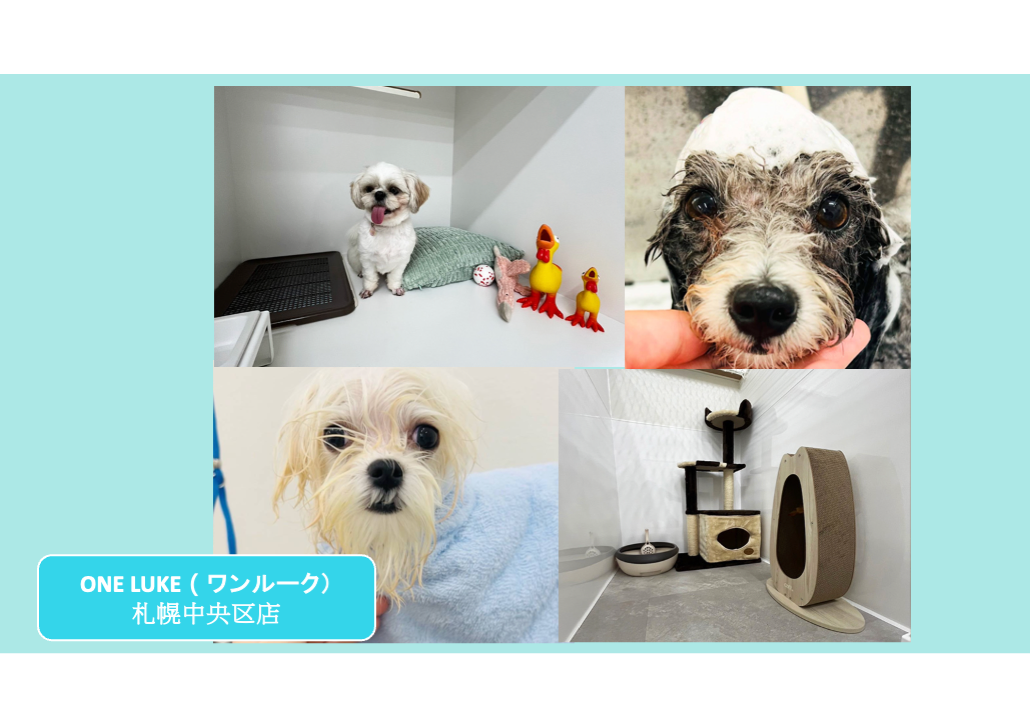 日本 做生意 開舖 創業 加盟 移居 移民 投資 經營管理簽證 永住權 講座 展銷會 開公司 株式会社 BUD 專項基金 政府資助 共享辦公室 share office 不動產 日本樓 收租 學日文 日語學院 日本教育制度 拉麵加盟 高度人材計分 高度專門職 高度人才 高度人才簽證 高度人材簽證