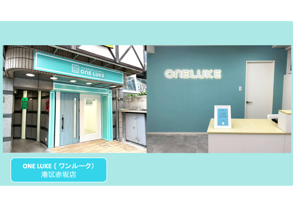 日本 做生意 開舖 創業 加盟 移居 移民 投資 經營管理簽證 永住權 講座 展銷會 開公司 株式会社 BUD 專項基金 政府資助 共享辦公室 share office 不動產 日本樓 收租 學日文 日語學院 日本教育制度 拉麵加盟 高度人材計分 高度專門職 高度人才 高度人才簽證 高度人材簽證