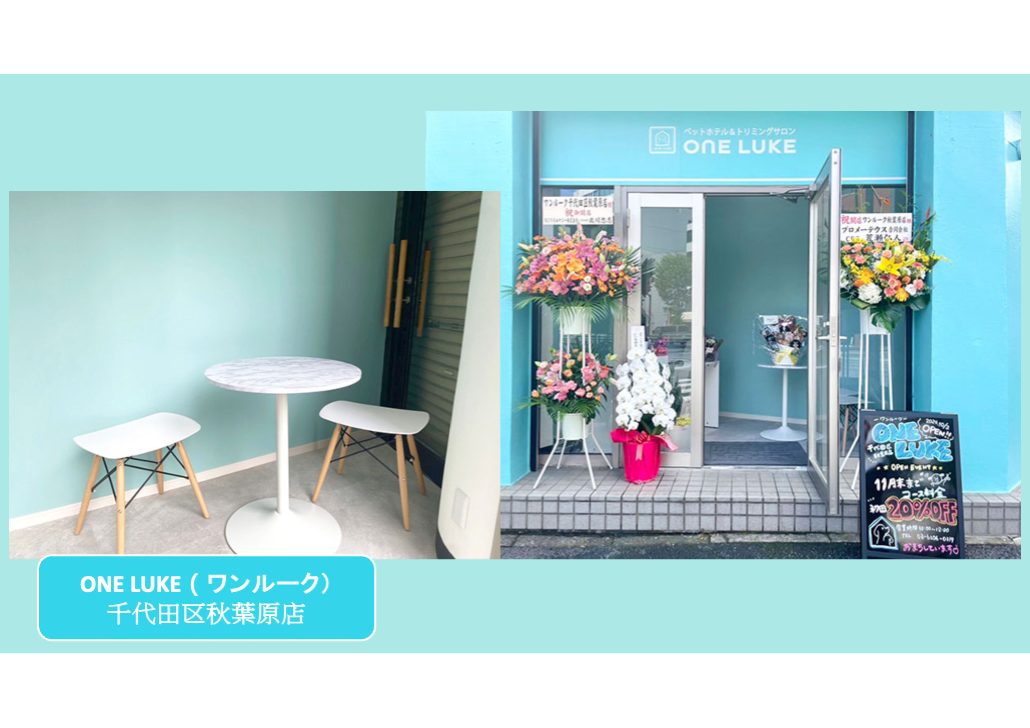 日本 做生意 開舖 創業 加盟 移居 移民 投資 經營管理簽證 永住權 講座 展銷會 開公司 株式会社 BUD 專項基金 政府資助 共享辦公室 share office 不動產 日本樓 收租 學日文 日語學院 日本教育制度 拉麵加盟 高度人材計分 高度專門職 高度人才 高度人才簽證 高度人材簽證